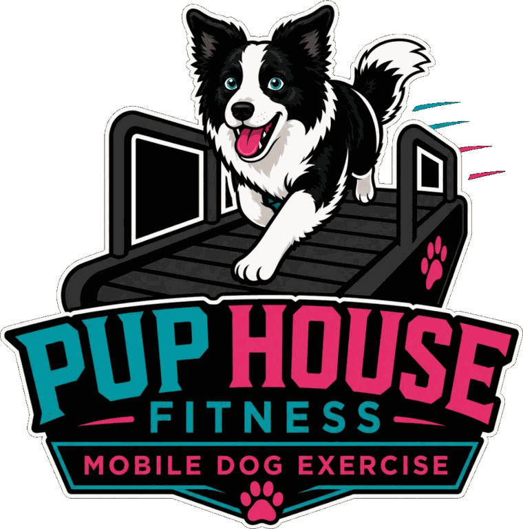 Pup House Fitness logo: a Border Collie running on a dog treadmill